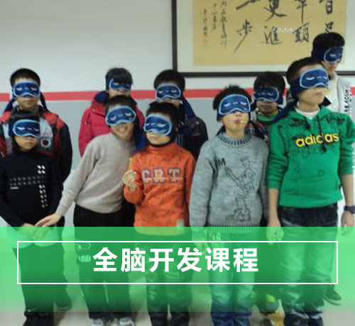 正定早教-全脑开发课程