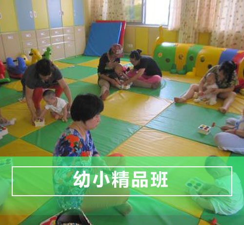 正定幼儿园-幼小(精品班)