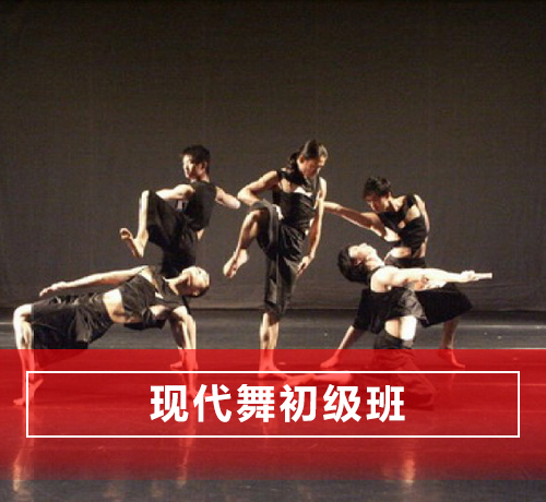 石家庄长安区现代舞舞蹈培训初级班