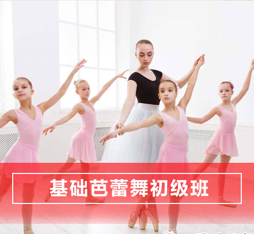 石家庄长安区基础芭蕾舞舞蹈培训初级班