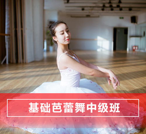 石家庄长安区基础芭蕾舞舞蹈培训中级班