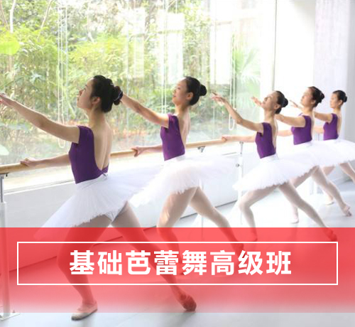 石家庄长安区基础芭蕾舞舞蹈培训高级班